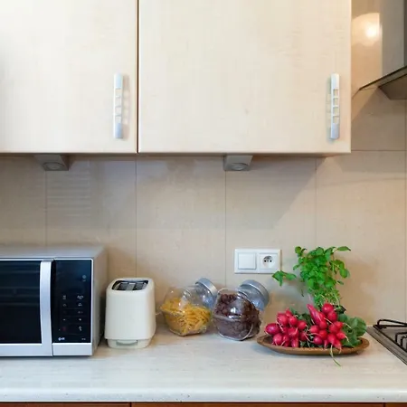 Apartamento Traditional Starowislna Street *